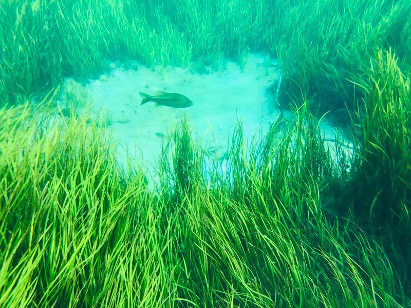 Hidden Nooks and Side Channels