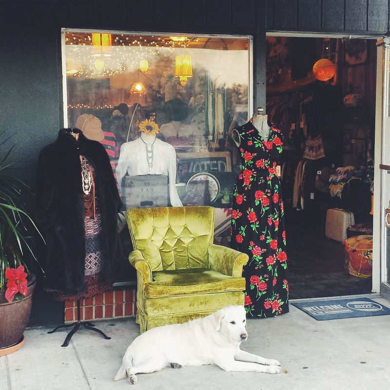 A Quick Exit Plan And Final Thoughts