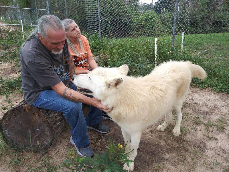 Weather, Wardrobe, and Timing