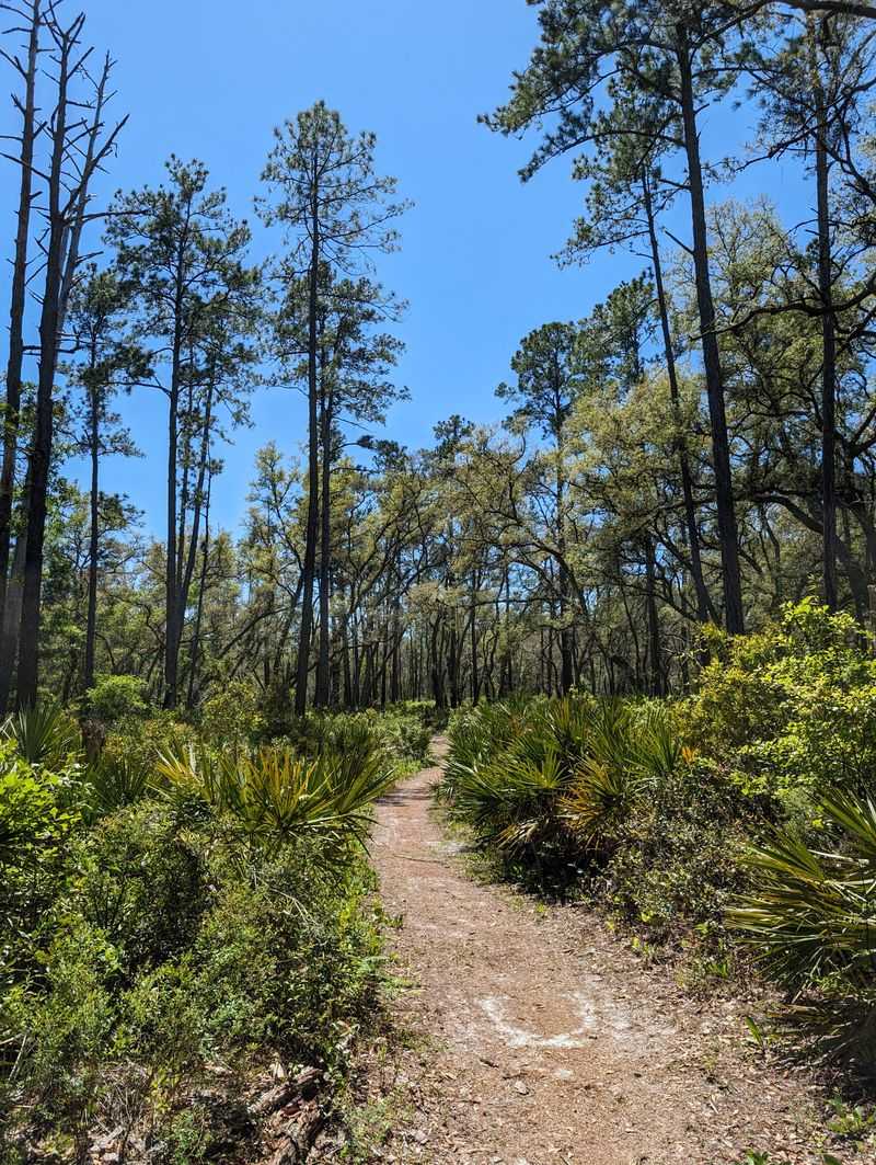 Best seasons and daily timing