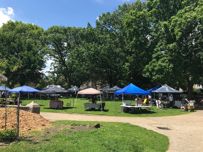 Festivals on the River: Food, Art, and Neighborhood Pride