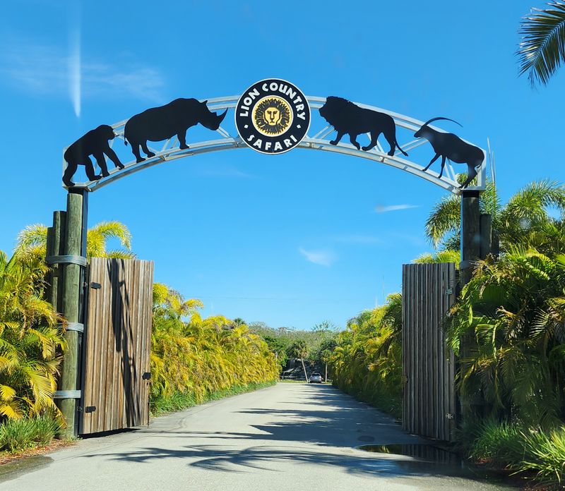 Over 900 Animals From 6 Continents