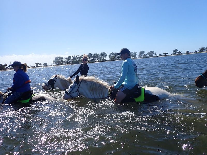 Where the Magic Happens: The Location and Setting