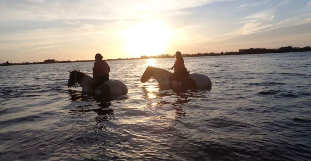 Ride And Swim With Horses Along Florida’s Coast