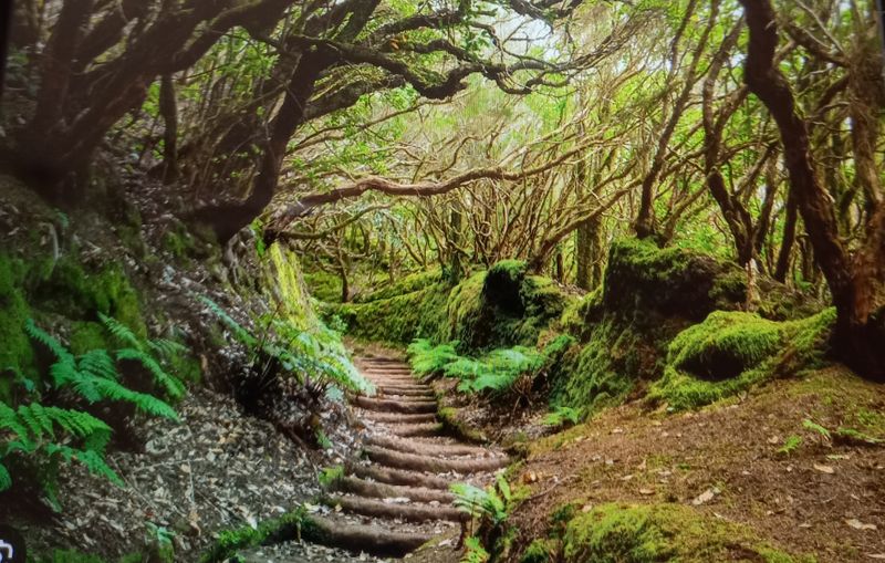 Anaga Rural Park — Tenerife, Spain