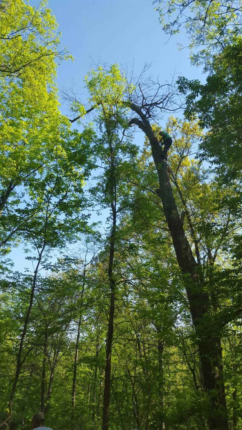 Skyline Drive Gate: The Park Begins At Your Front Door