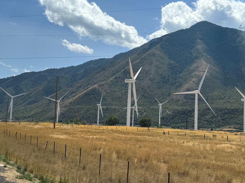 Seasonal color and views