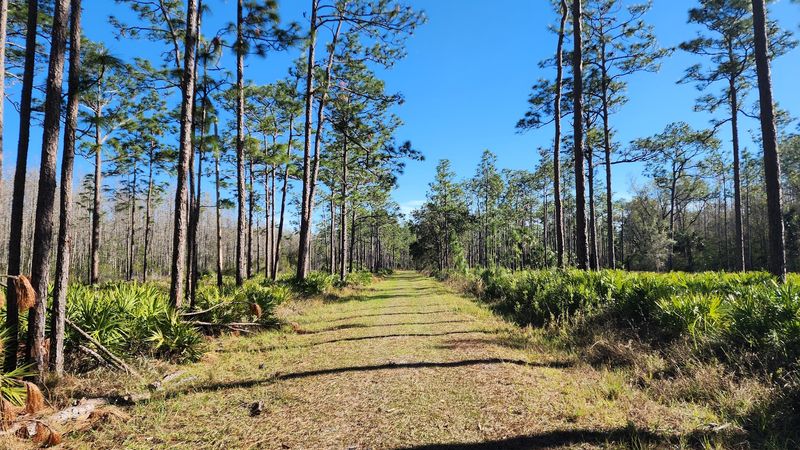 Colt Creek State Park – Lakeland