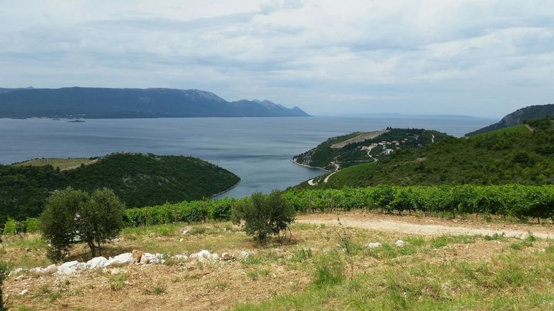 Adriatic Highway D8, Croatia