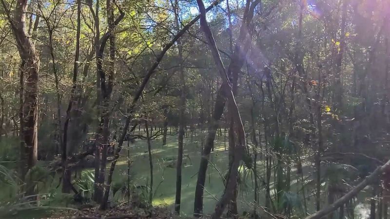 Photo Ops That Earn Their Pixels