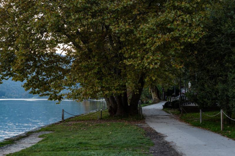 Dudleytown, Connecticut - The Cursed Village