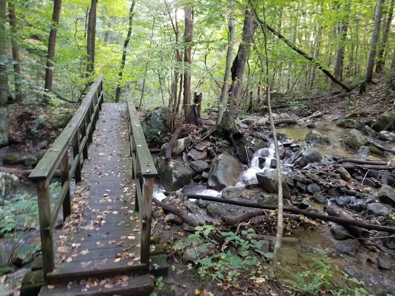 The Old Train Trestle and Tow Path