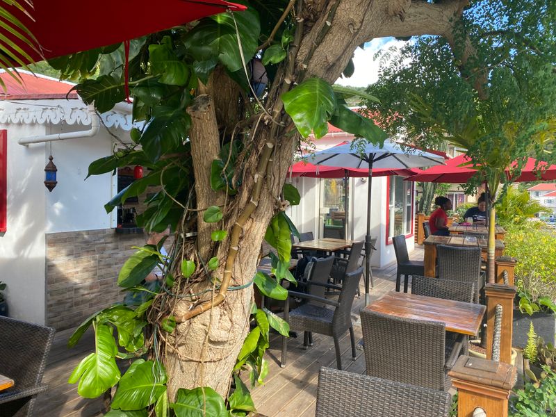 Taste Saba: Seafood, Sweets, And Bush Tea