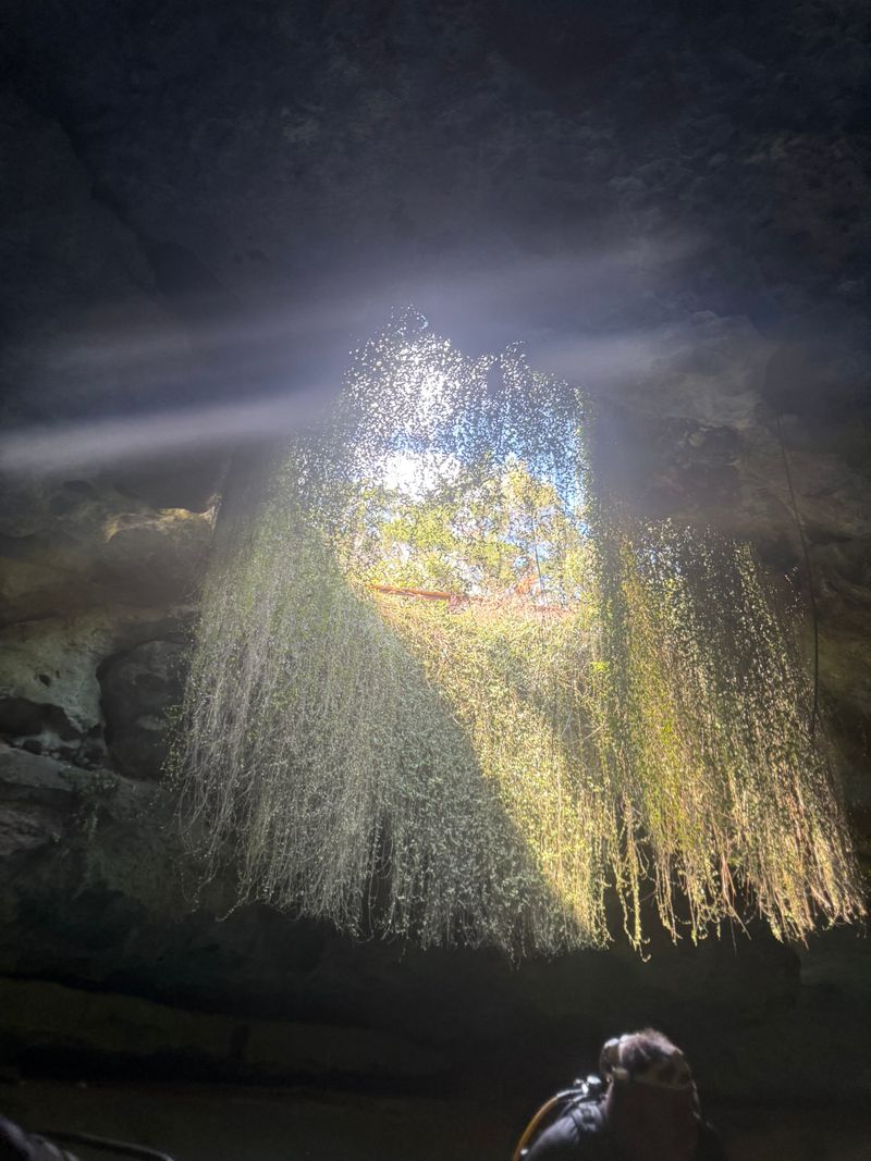 Best Times and Lighting