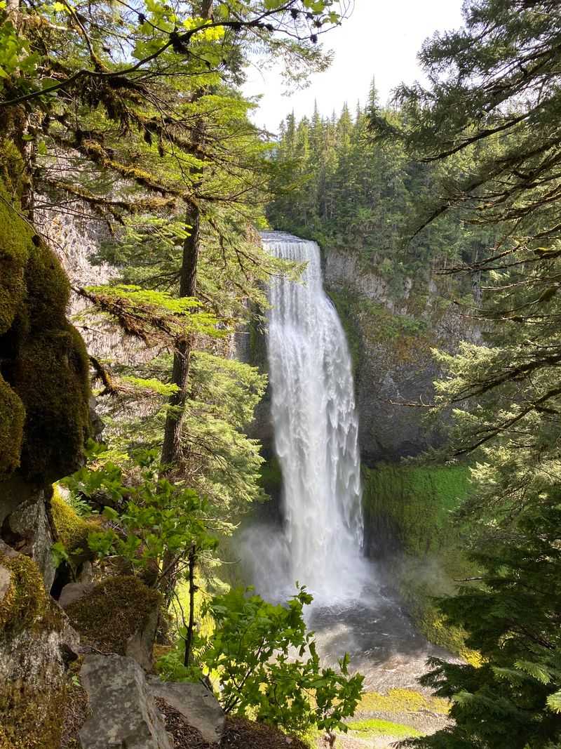 Salt Creek Falls Observation Trail (and spur options) - Willamette National Forest (Hwy 58)