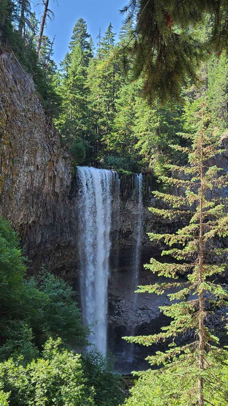 Tamanawas Falls Trail - Mt. Hood National Forest