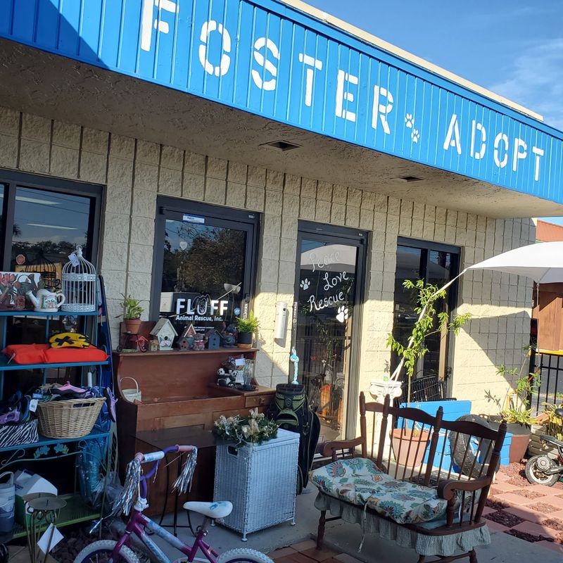 Fluff’s Stuff Re-Tail for Rescue - Seminole