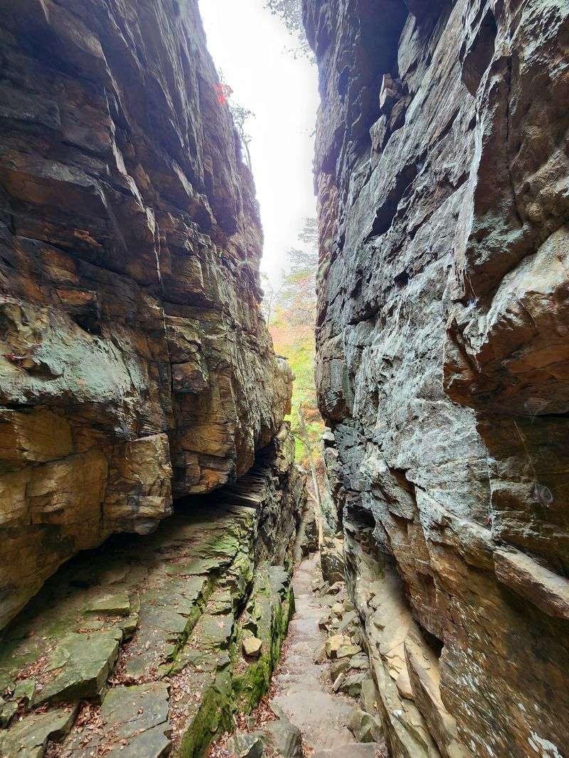 Stone Door to Big Creek Rim