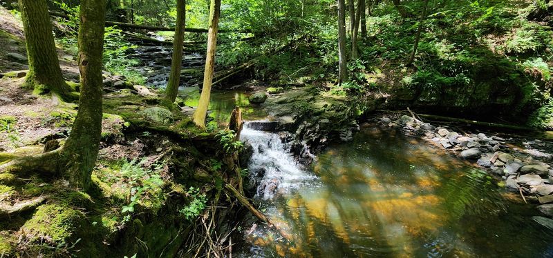 Stepping Stones Falls / Stony Brook Falls (Stokes State Forest, Sussex County)