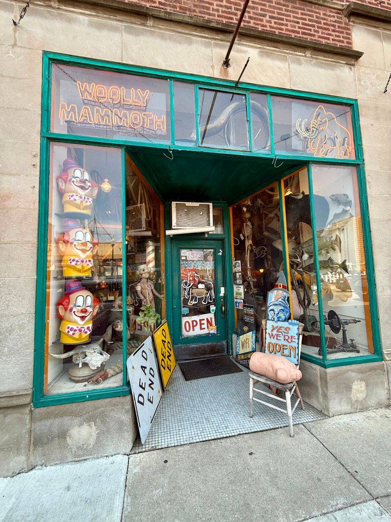 Woolly Mammoth Antiques, Oddities & Resale