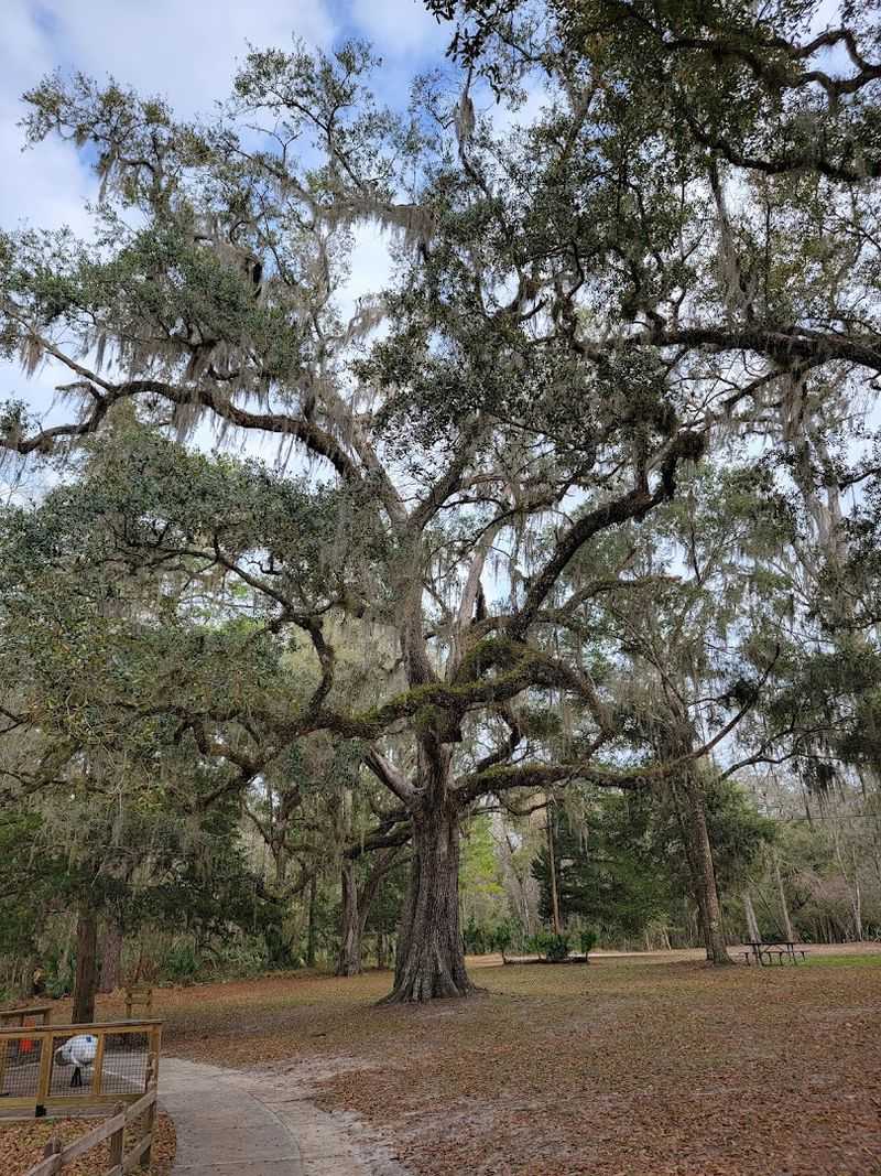 Hiking and Biking Trails: Into the Flatwoods