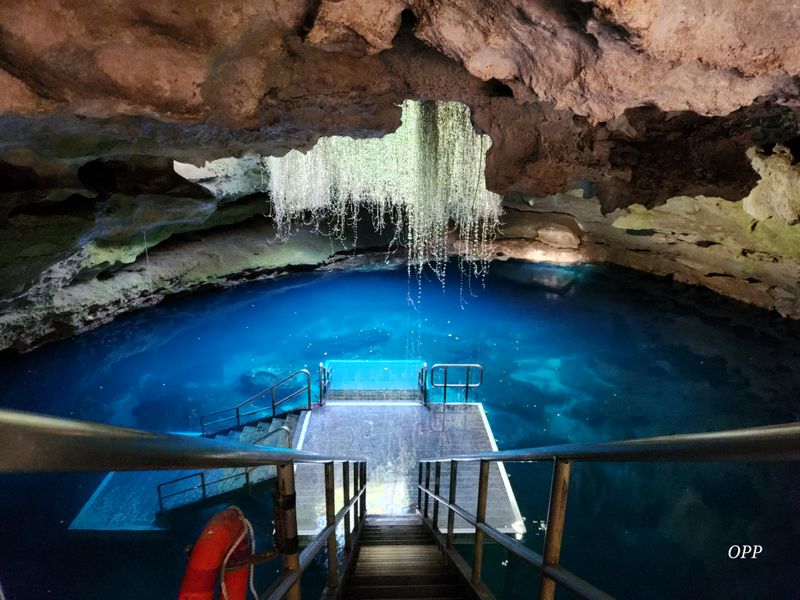 Fossils and Prehistory