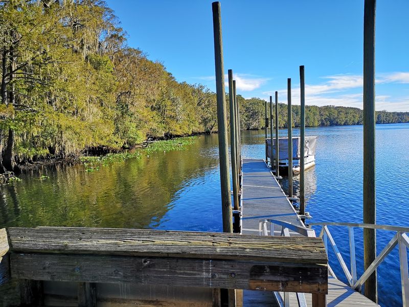 Family Swim Steps and Ledges