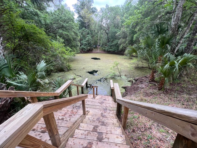 Family Swim Steps and Ledges