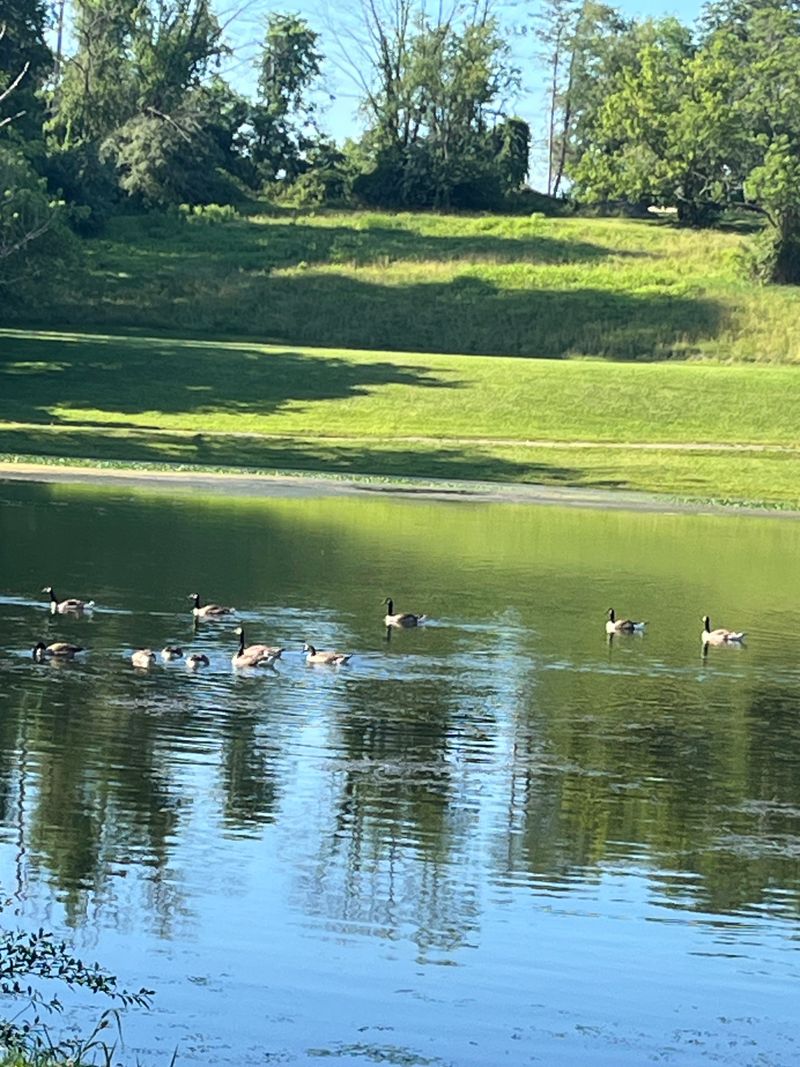 Wildlife, seasons, and the rhythm of the shoreline