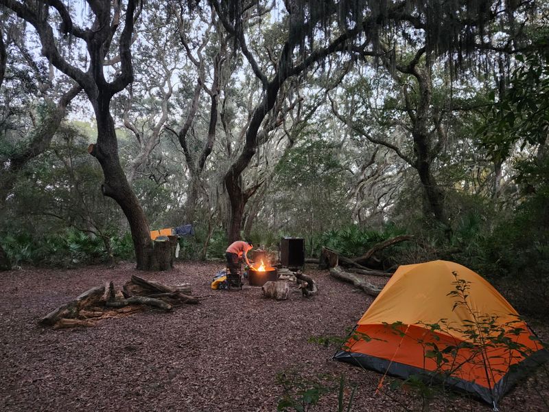 Stafford Beach And Backcountry Vibes