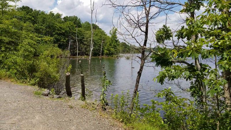 Practical Tips For A Smooth Day