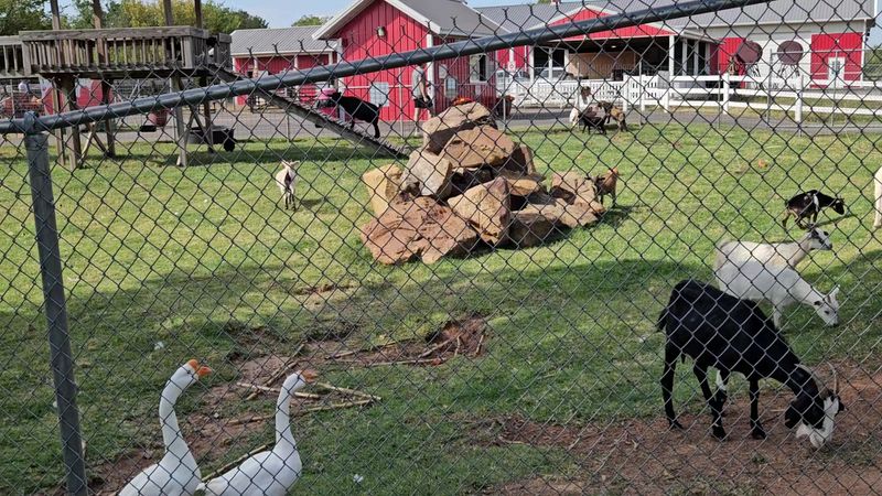 The Reality of Crowds and Timing