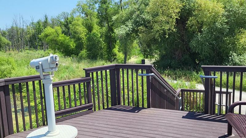 Practical Tips to Make Your Visit Go Smoothly