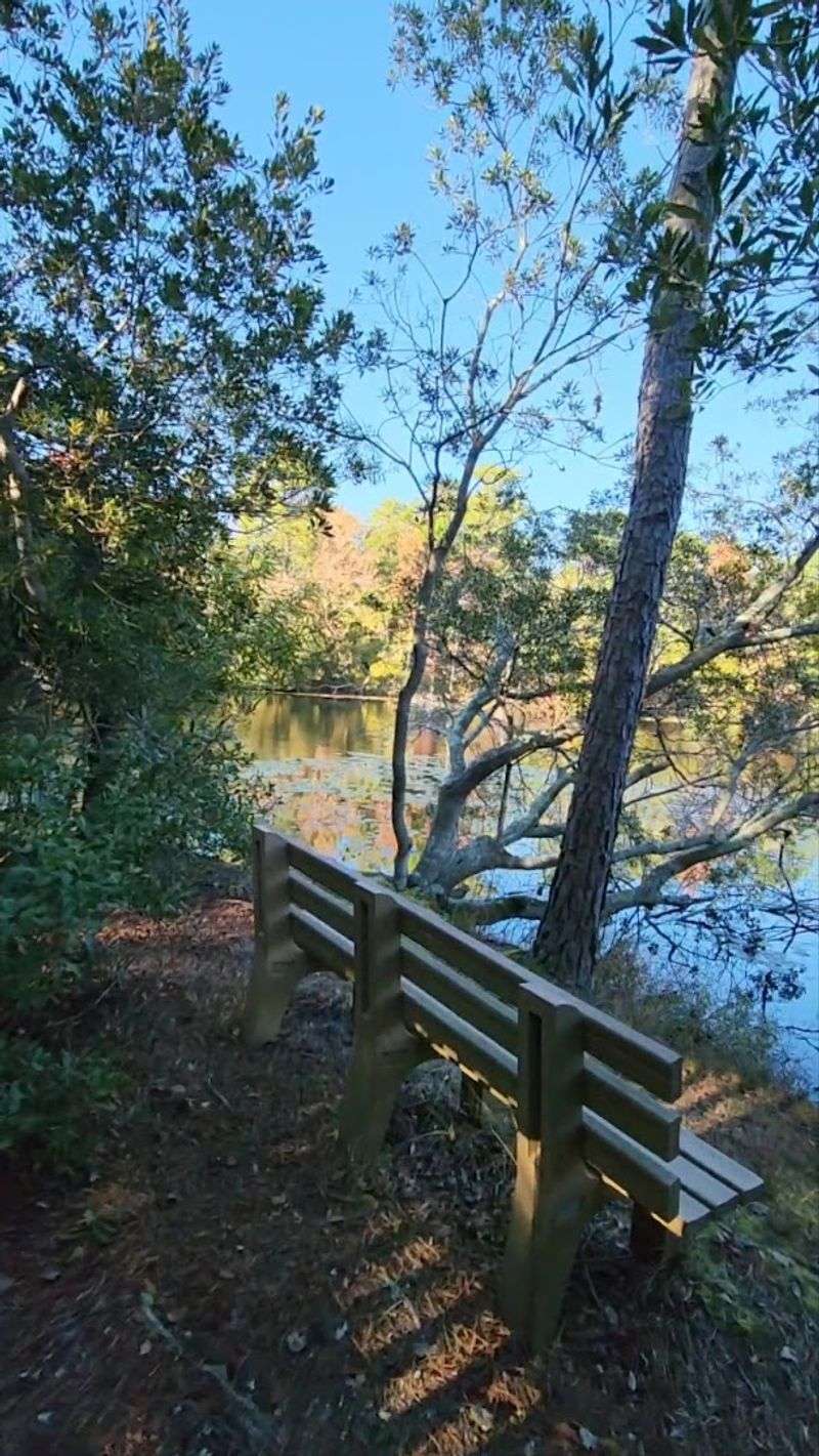 How Clean and Well-Maintained the Park Actually Is