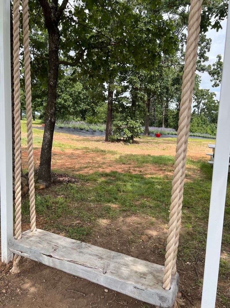 Family-Friendly Atmosphere