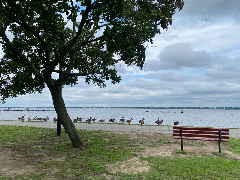 Parting With A Full Heart