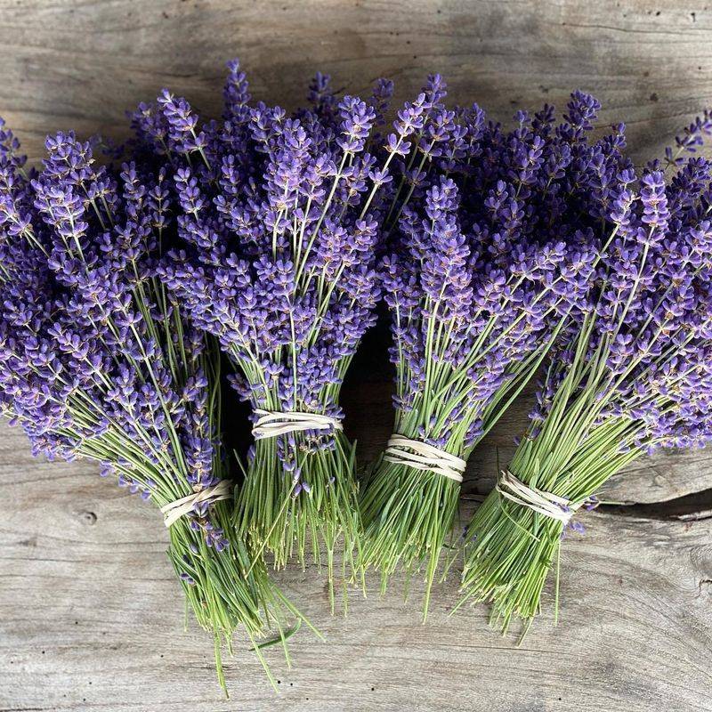 Photography Paradise for Nature Lovers