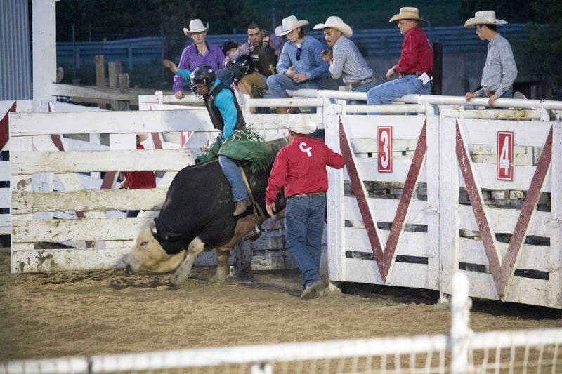 Cowtown Rodeo Next Door