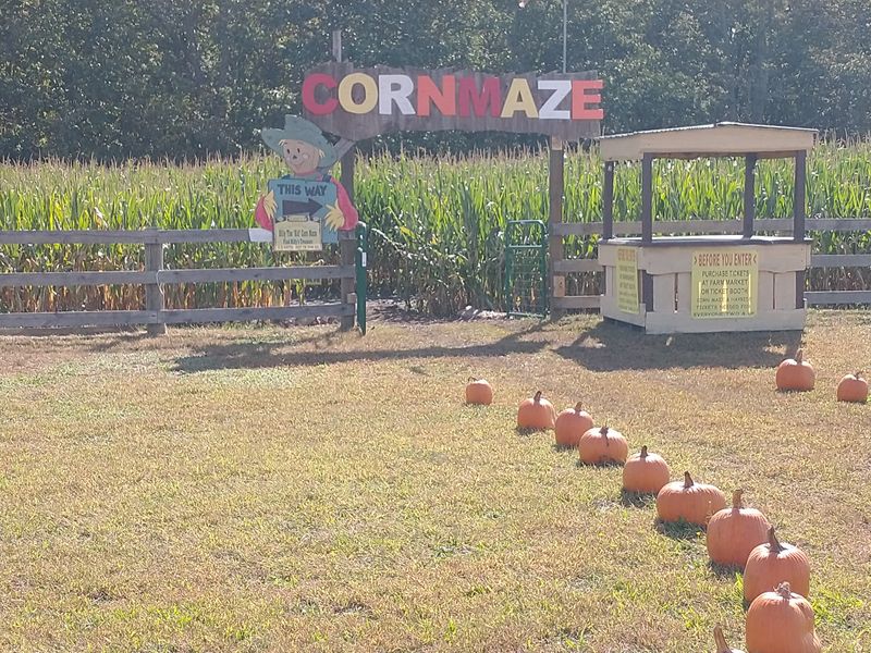 Corn Maze, Hayride, and Small Joys