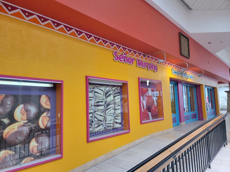 Service and Stories: Talking With the Team