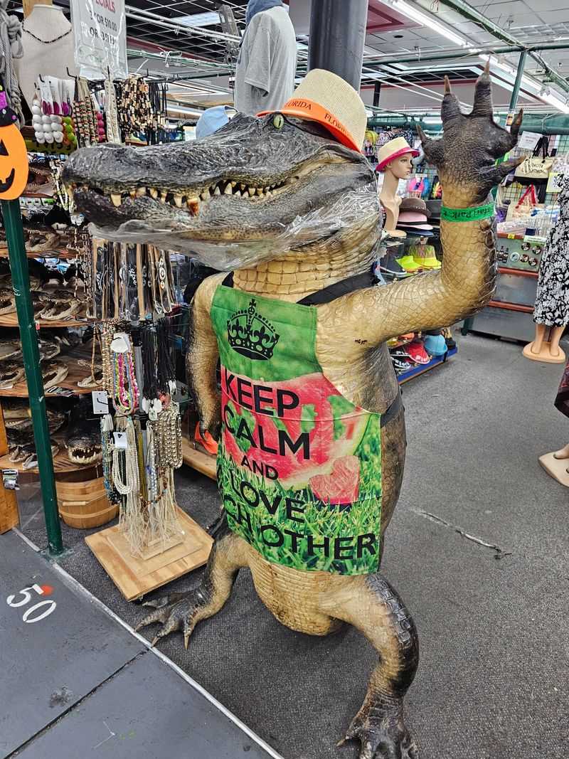 Collectibles & Bargain Finds