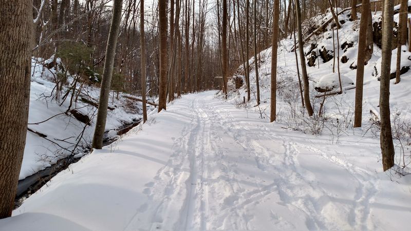 Practical Considerations for Your Visit