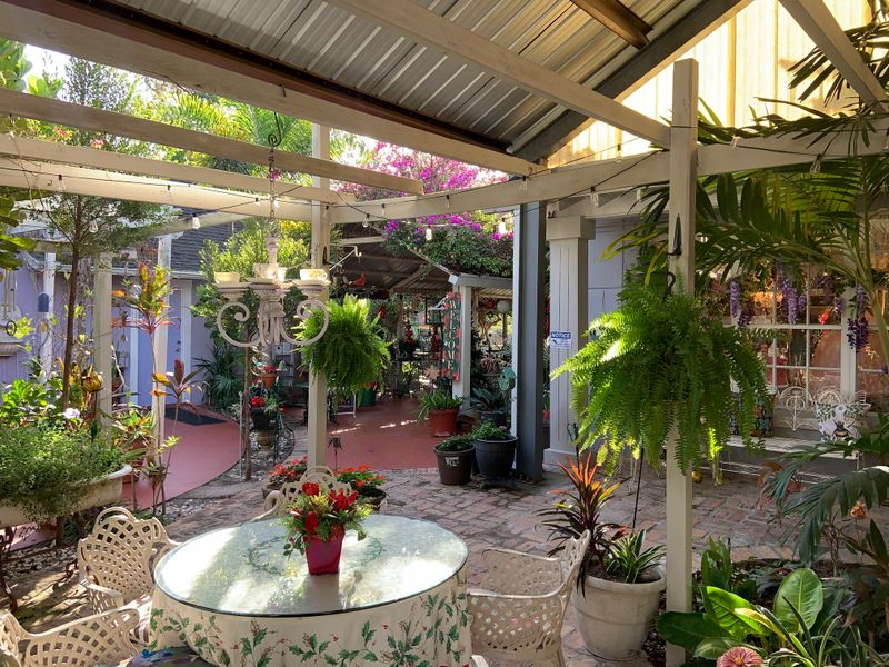 Practical Magic: Hours, Reservations, And Tips