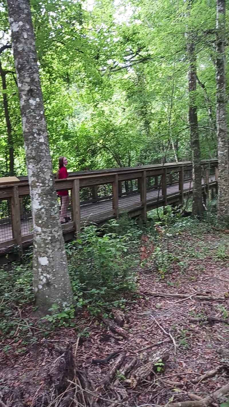 Forest Trail to Blue Hole