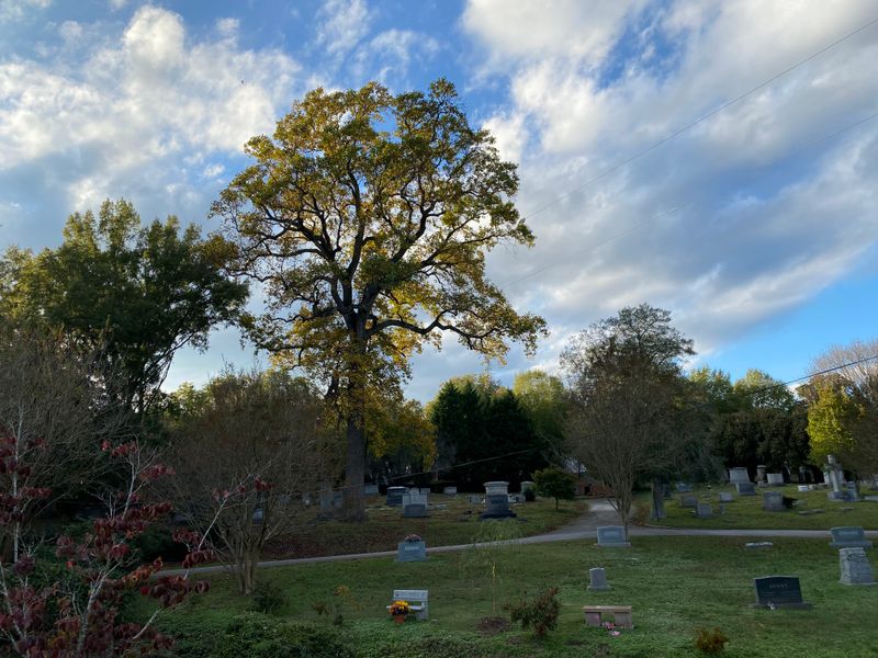 A Wider Lens: Scholarship, Data, and Comparisons That Clarify