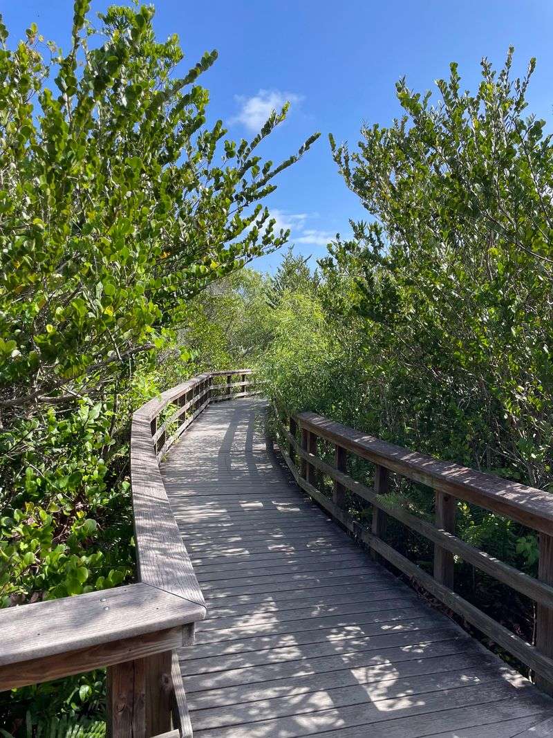 Bobcat Boardwalk Starter Stroll