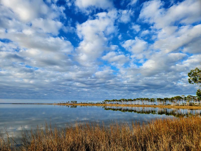 Kayaking The Bay Flats
