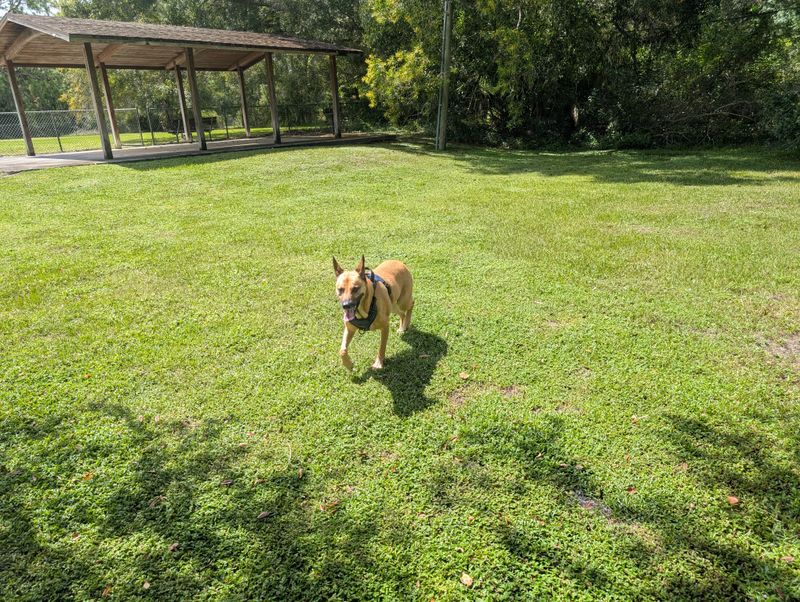 Live Oak Switchbacks