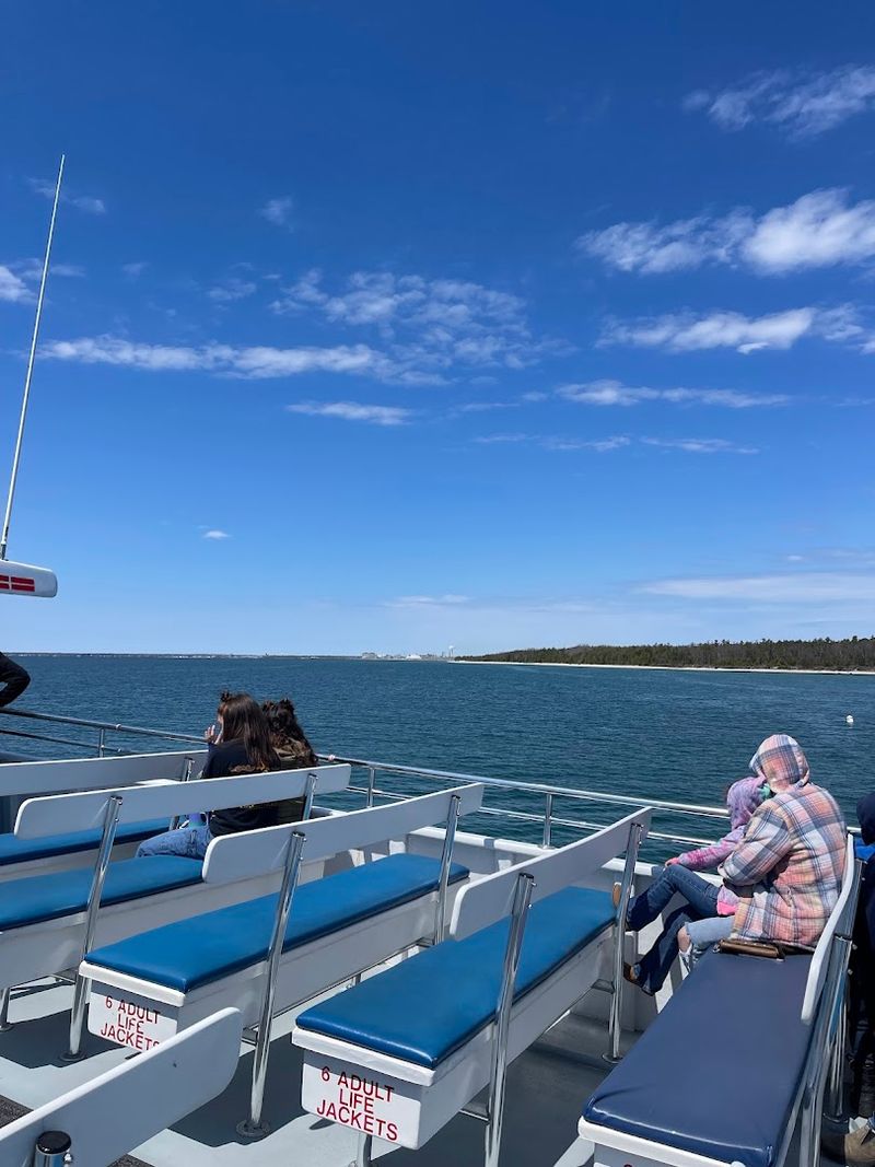 Reading The Water: Visibility, Weather, And Timing