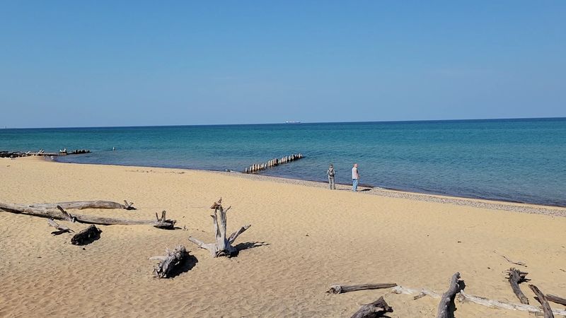 Birds, Dunes, And A Living Shoreline